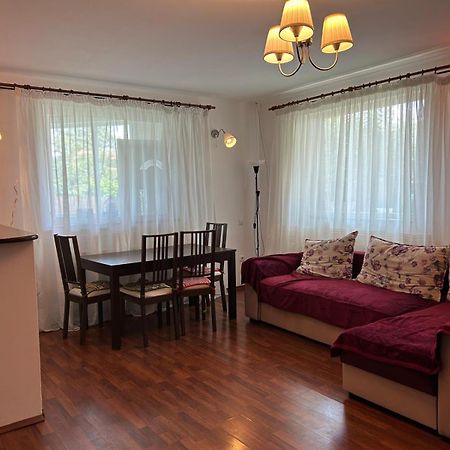 Vila De Inchiriat Aproape De Therme バロテシュティ エクステリア 写真