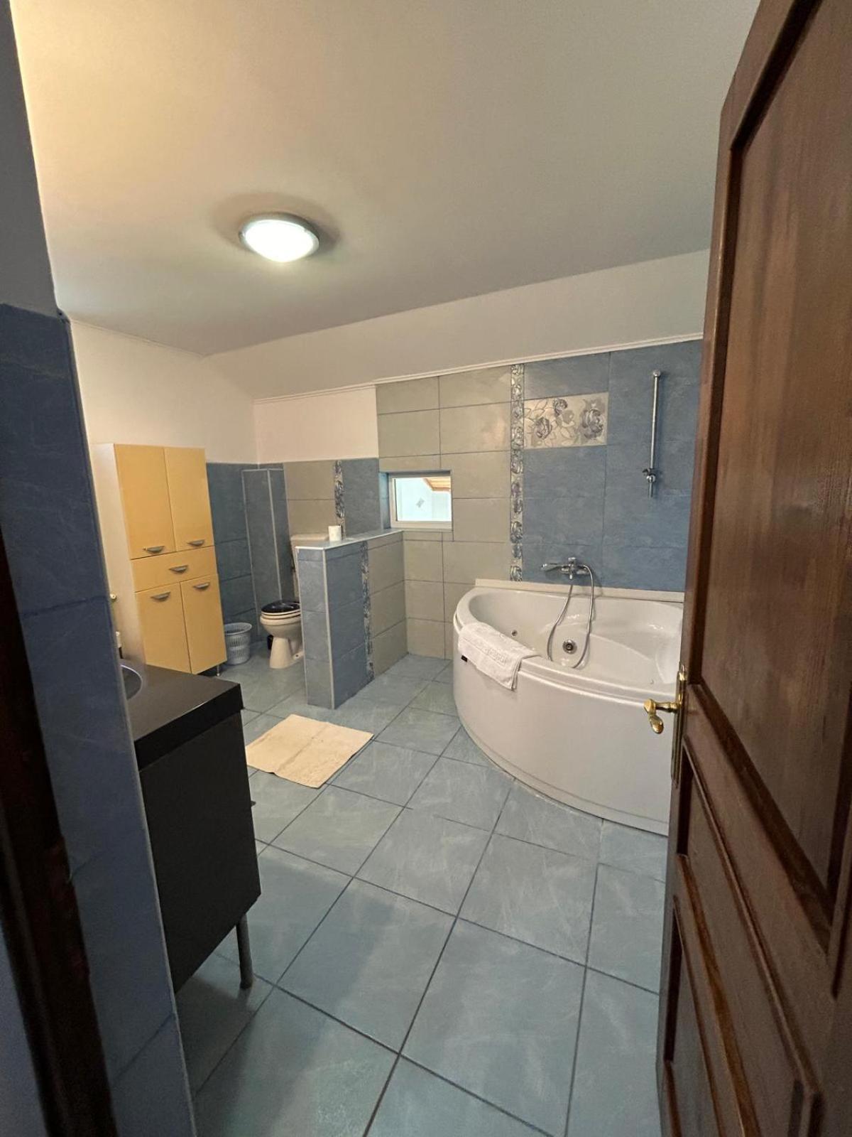 Vila De Inchiriat Aproape De Therme バロテシュティ エクステリア 写真