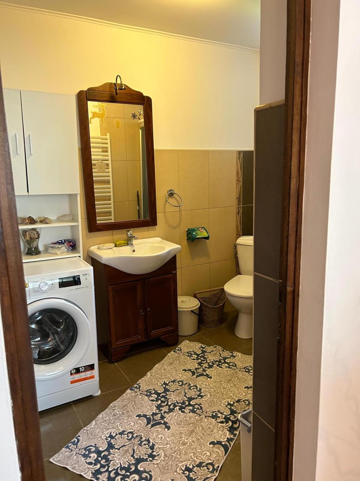 Vila De Inchiriat Aproape De Therme バロテシュティ エクステリア 写真